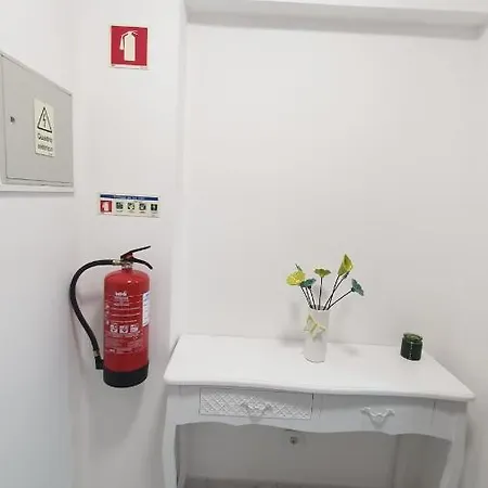 Caldas Da Rainha's & White カルダス・ダ・ライーニャ