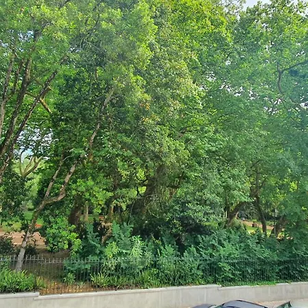 Caldas Da Rainha's & White Apartment Caldas Da Rainha