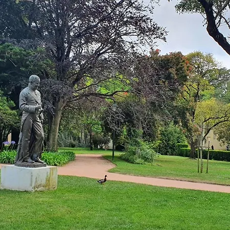 Caldas Da Rainha's & White * קלדס דה ריינה