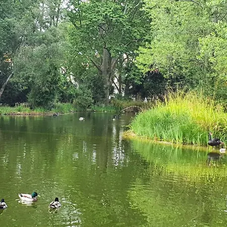 アパート Caldas Da Rainha's & White カルダス・ダ・ライーニャ