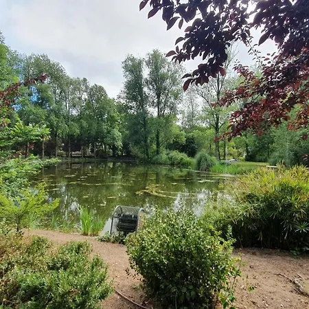 Caldas Da Rainha's & White *