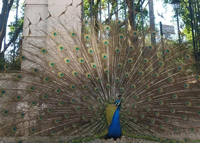 Apartamento Caldas Da Rainha's & White