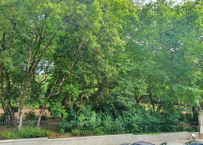 Caldas Da Rainha's & White Apartamento Caldas Da Rainha