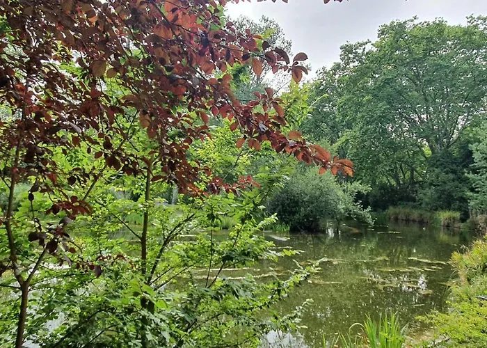 Caldas Da Rainha's & White