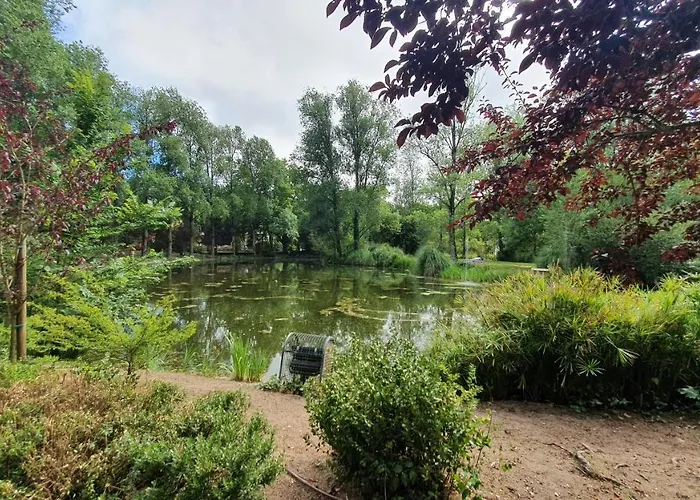 Caldas Da Rainha's & White *